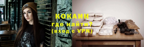 сатива Гусь-Хрустальный