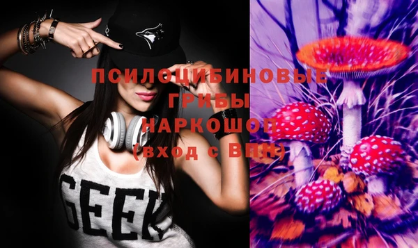 сатива Гусь-Хрустальный