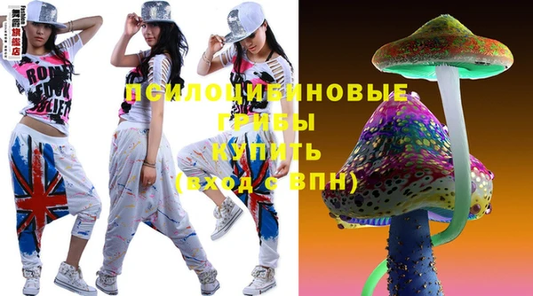 сатива Гусь-Хрустальный