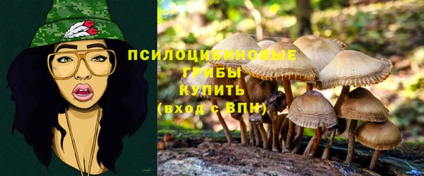 сатива Гусь-Хрустальный