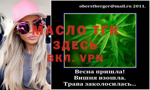 сатива Гусь-Хрустальный