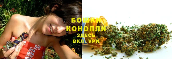 мет Гусиноозёрск