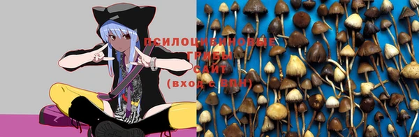 сатива Гусь-Хрустальный